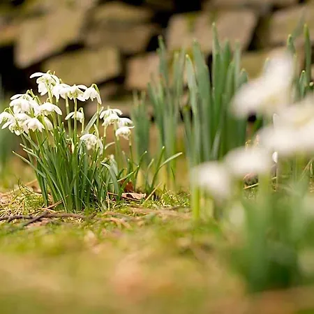 Yha Buttermere 3* Bassenthwaite